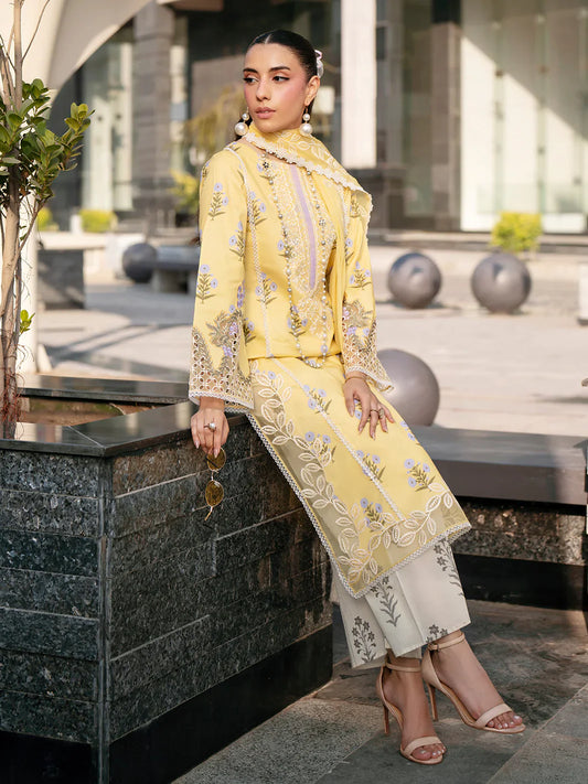 BW - 006 | 3 PC LAWN