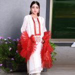 MK -072 3 piece suit with Adda work and applick of red Jamawar